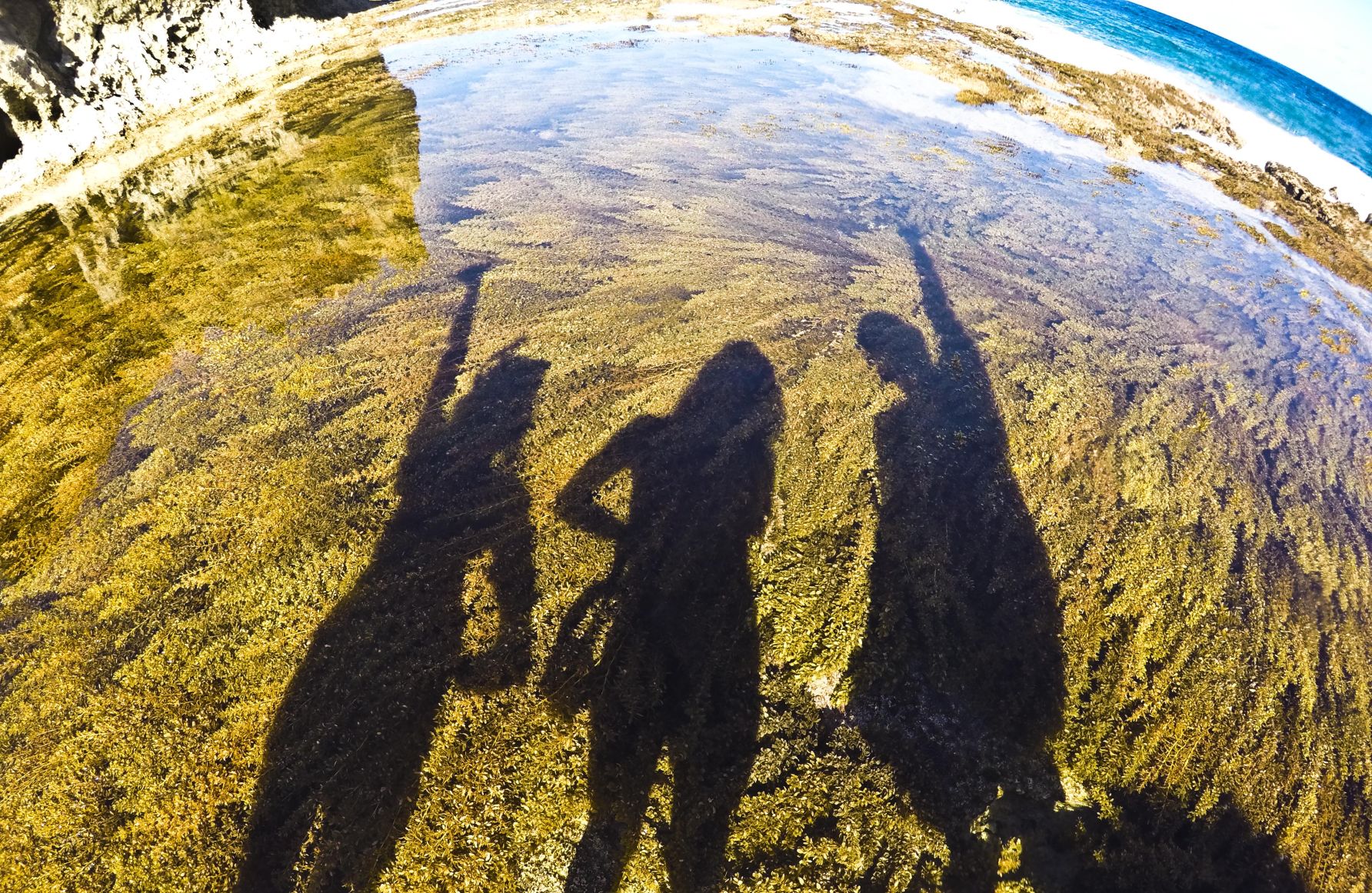 Fantastic views and fascinating reef life at Fadi'an Cove